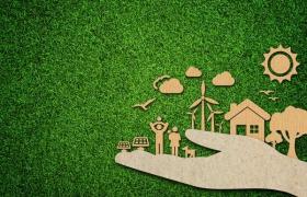 The Green Legacy: Why Every Tree Counts